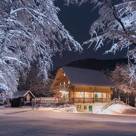 Brunarica Bohinji-tó Kültér fotó